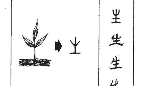 元铜是中药吗网-分享铜元哪种最值钱，铜元到底值不值钱知识库