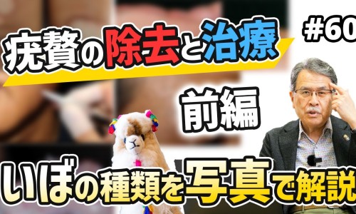 元铜的功效与作用-元铜是中药吗网-分享铜元哪种最值钱，铜元到底值不值钱知识库